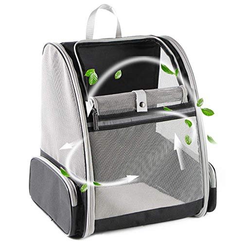 Best Cat Backpack for Hiking