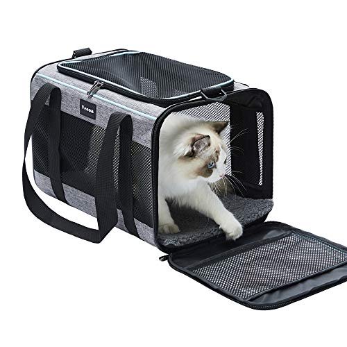 Best Cat Carrier for Scared Cat