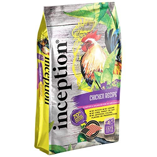 Best Cat Food for a Hedgehog