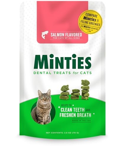 Best Cat Food for Bad Breath