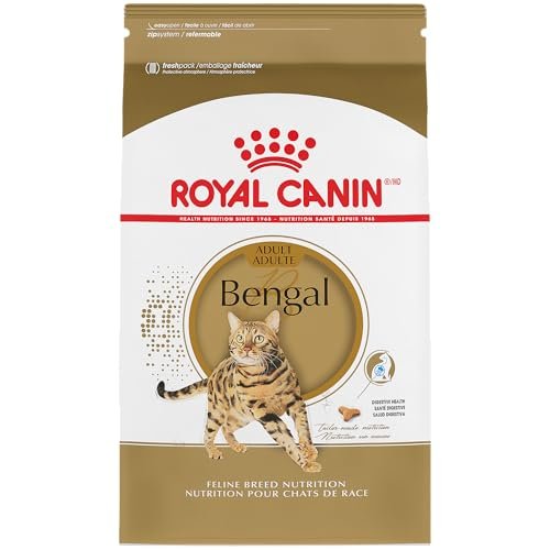 Best Cat Food for Bengal Kitten
