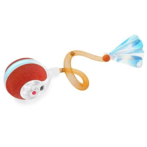 Best Cat Toys for Ragdolls