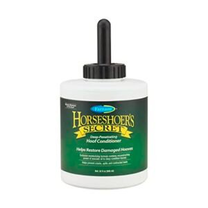Best Hoof Care Products for Horses