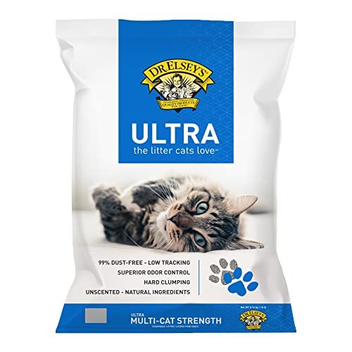 Best Litter for Asthmatic Cat