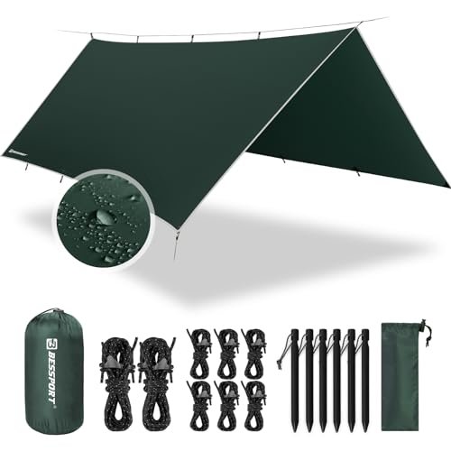 Best Tarp Cat Cut for High Winds