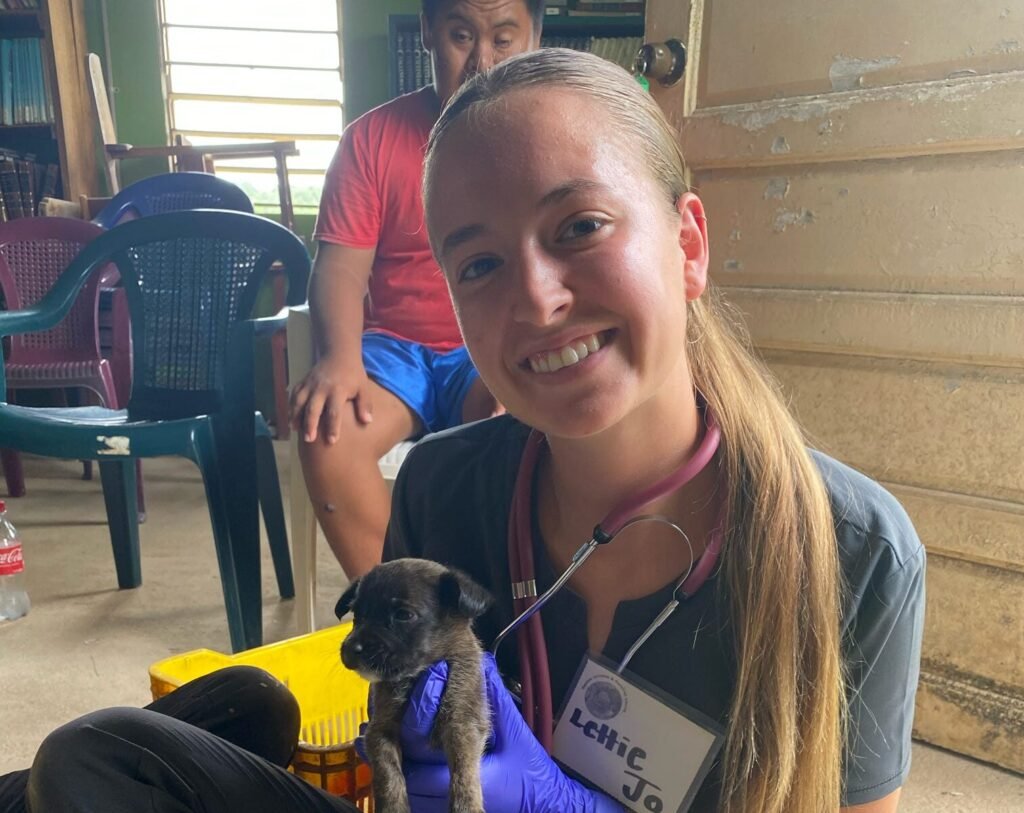 How are Small Animal Vets Related to Agriculture