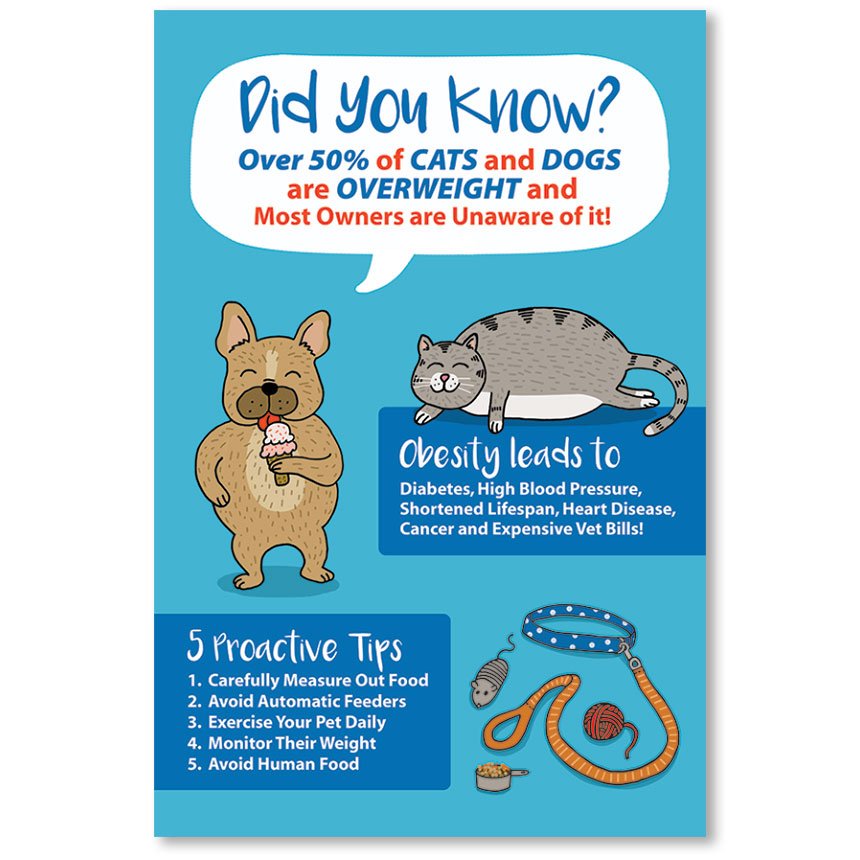 Pet Care Tips Informational