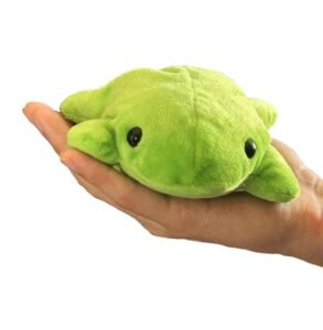 Small Bean Plush Animal Flat
