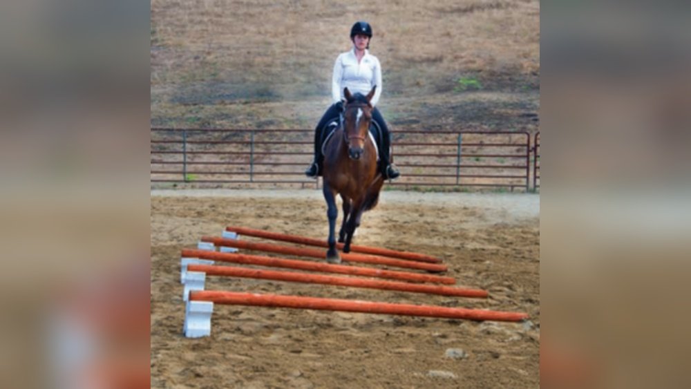 55 Corrective Exercises for Horses