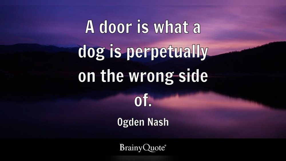 A Door is What a Dog is Perpetually