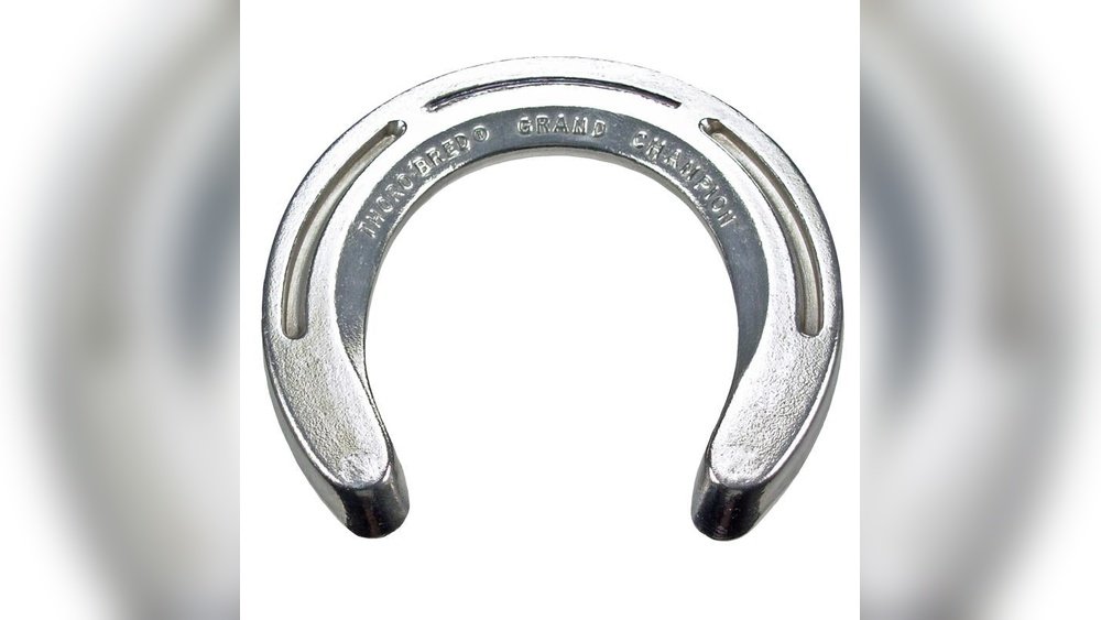 Aluminum Horse Shoes