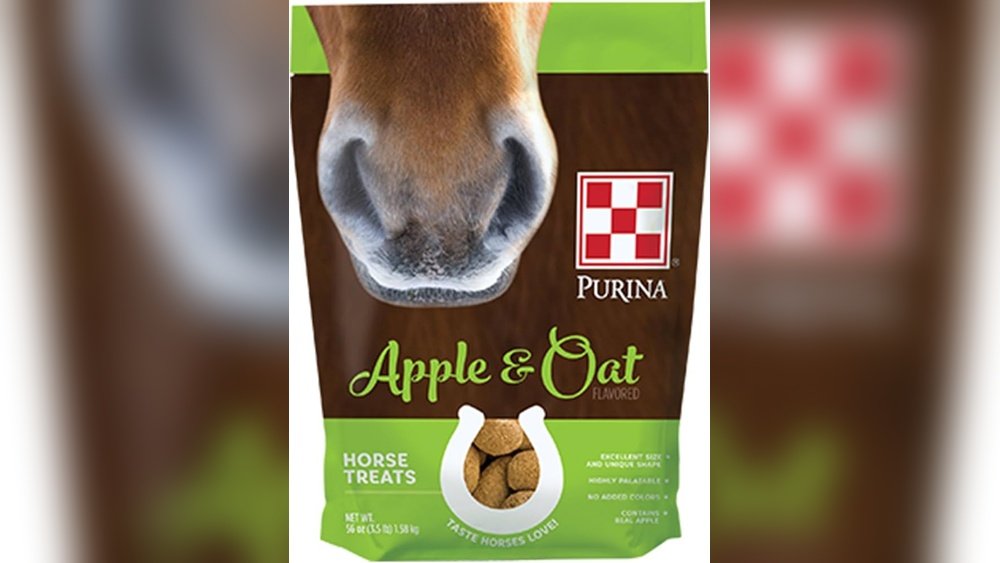 Apple Horse Treats