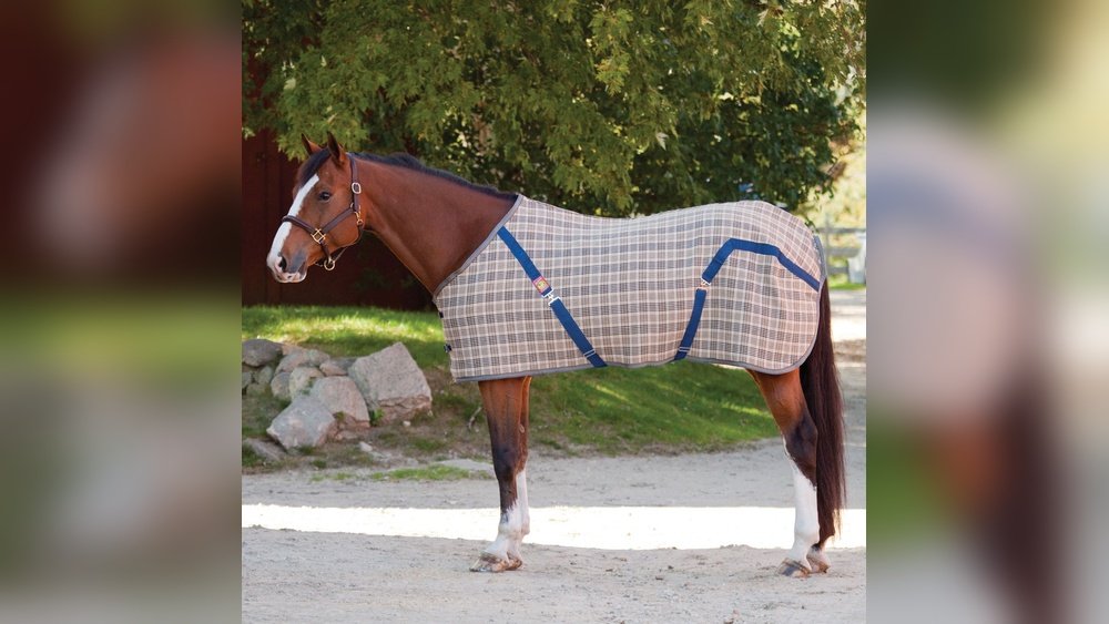 Baker Horse Blankets