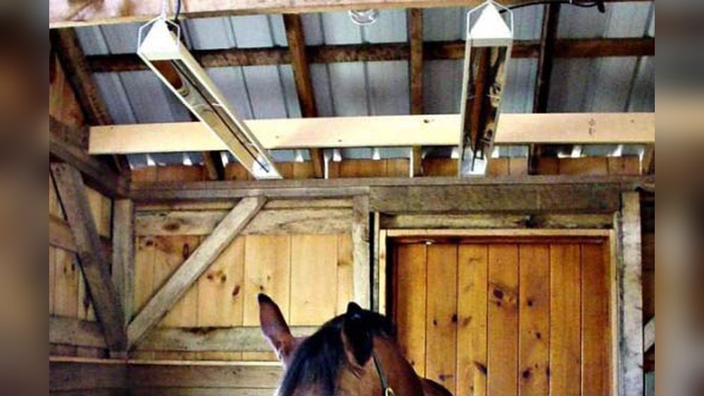 Barn Heaters for Horses