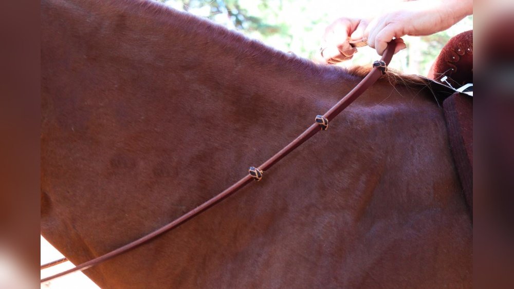 Barrel Horse Reins