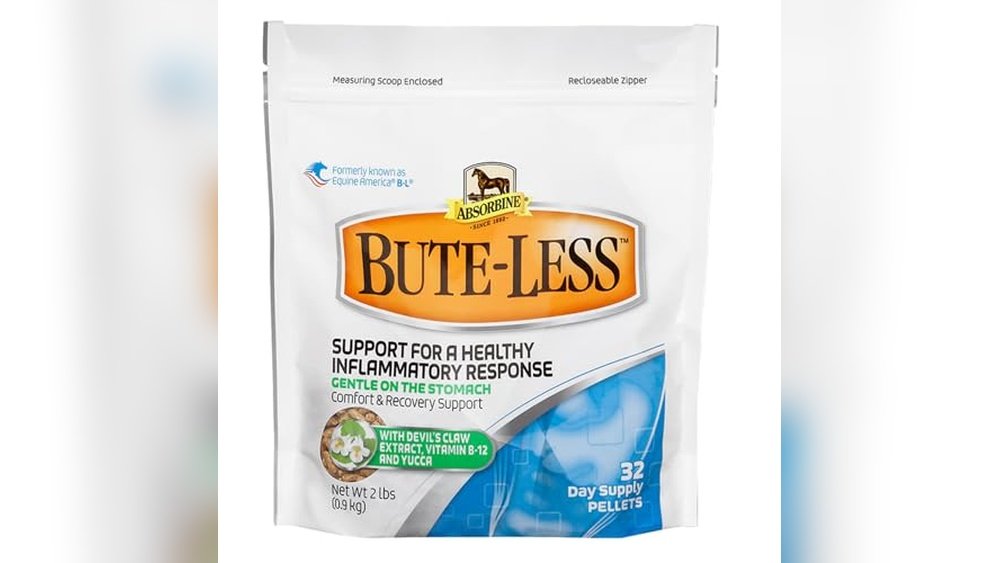 Best Anti Inflammatory for Horses