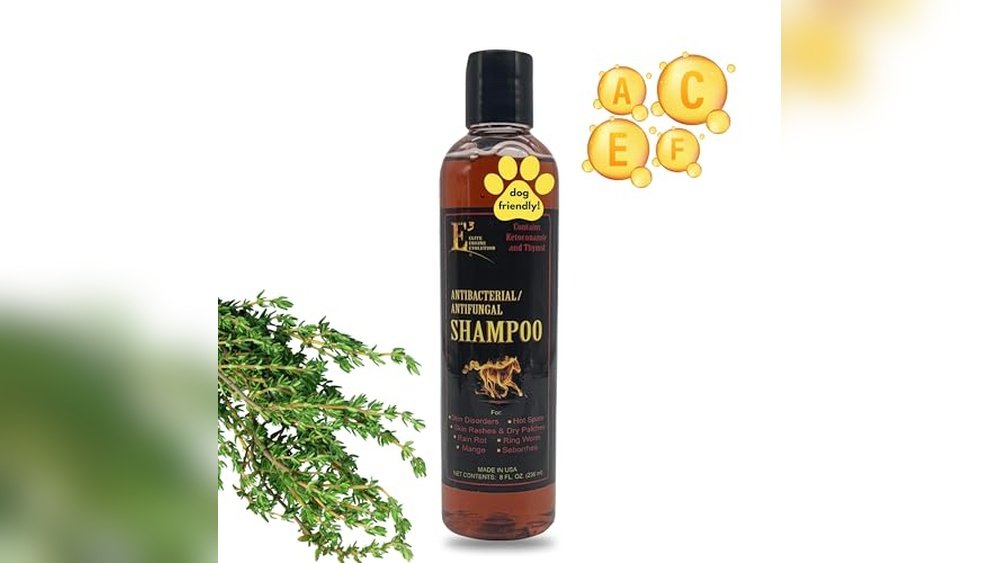 Best Antifungal Shampoo for Horses