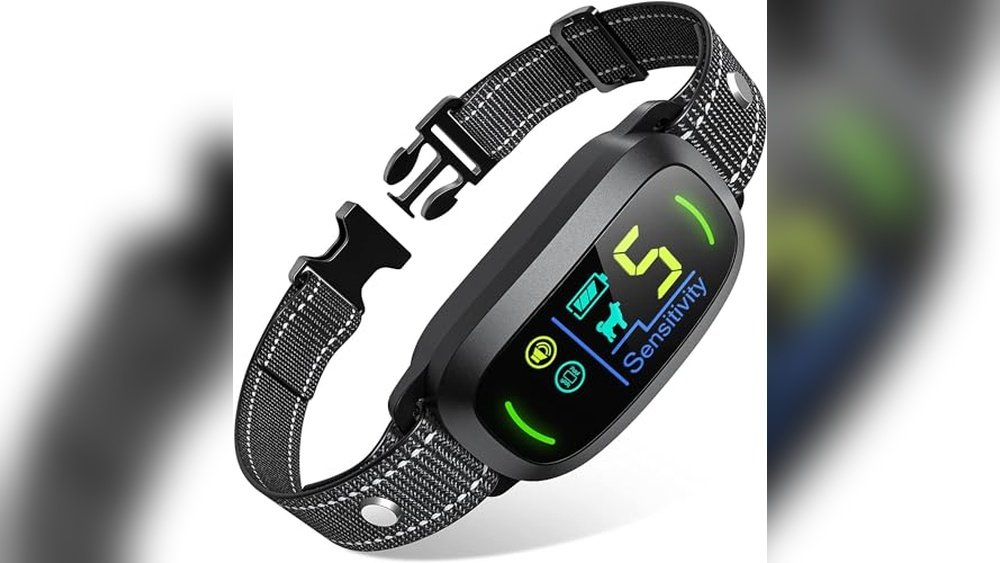 Best Bark Collar for Large Dog