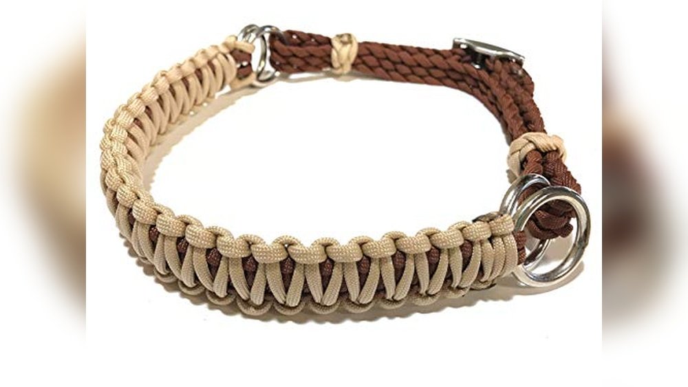 Best Bit for a Horse That Pulls