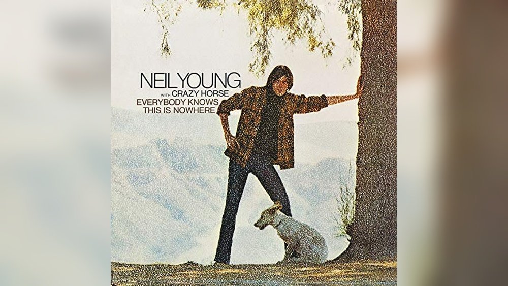 Best Bit for a Young Horse