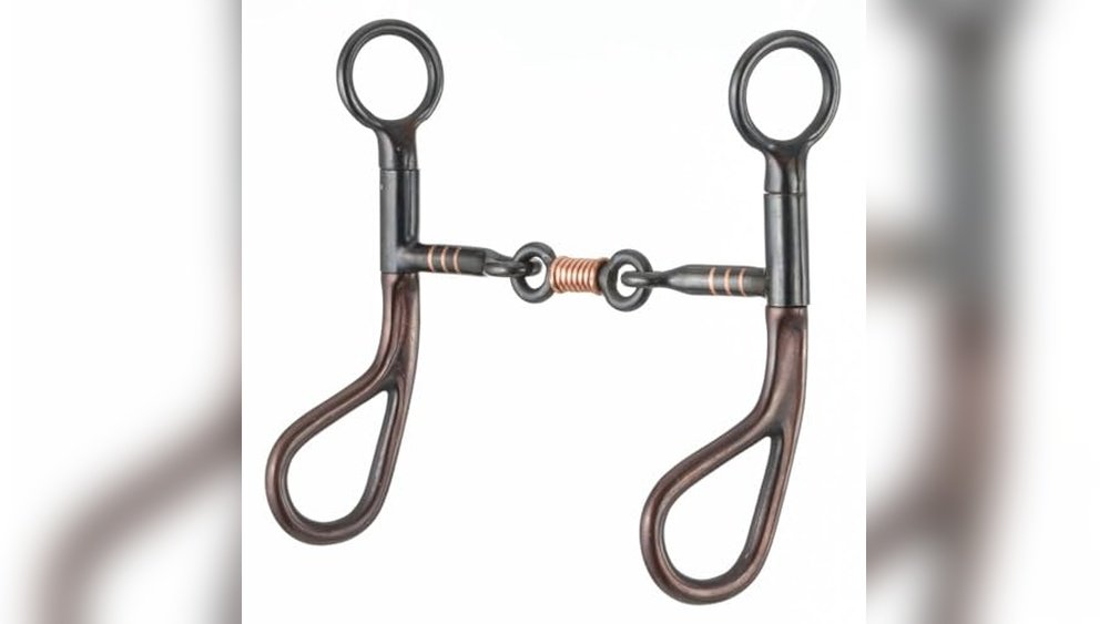 Best Bit for Horse
