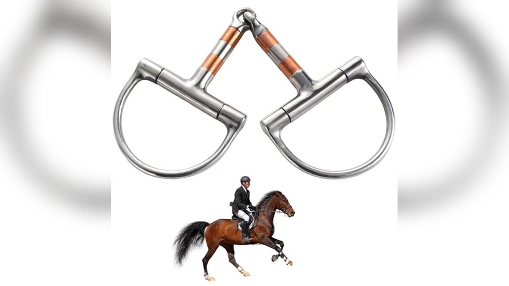 Best Bit for Strong Horse That Leans