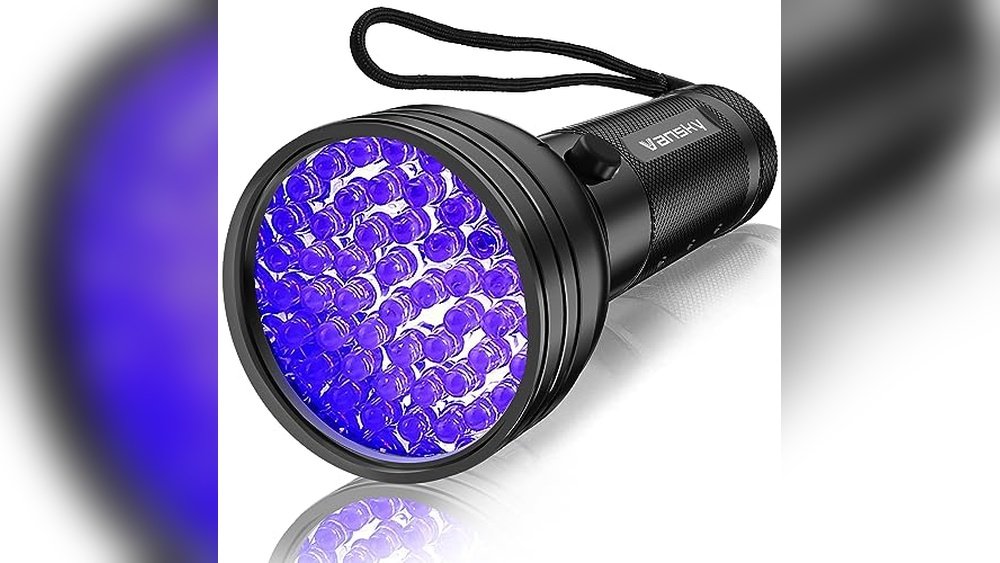 Best Blacklight for Cat Urine