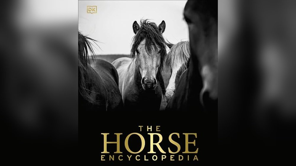 Best Books About Horses for Adults