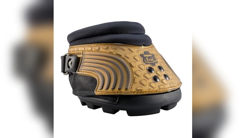 Best Boots for Trail Riding Horses