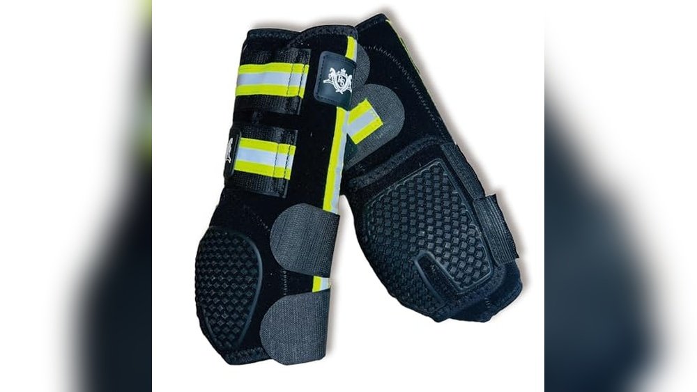 Best Breed of Horse for Show Jumping