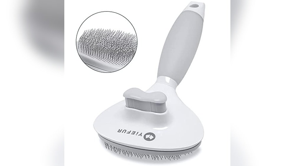 Best Brush for Maine Coon Cat