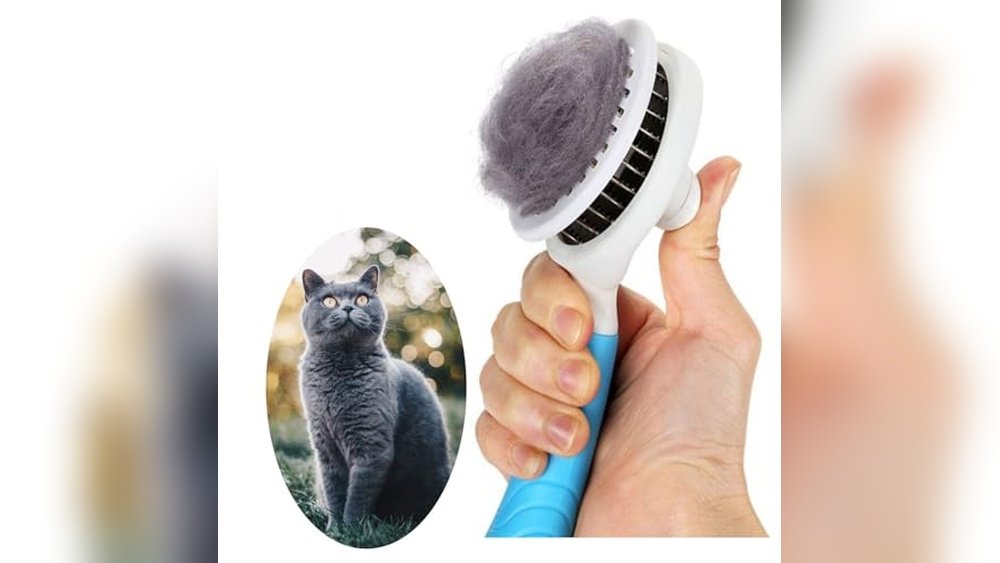 Best Brush for Siberian Cat