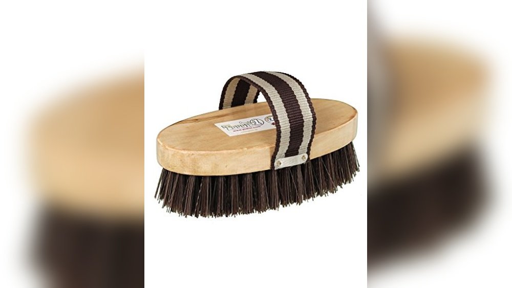Best Brushes for Horses