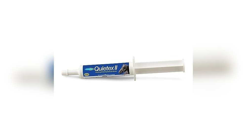 Best Calming Paste for Horses