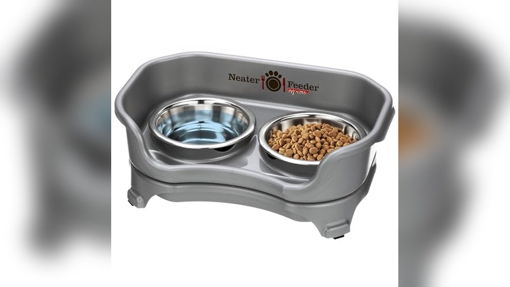 Best Cat Bowls for Messy Eaters