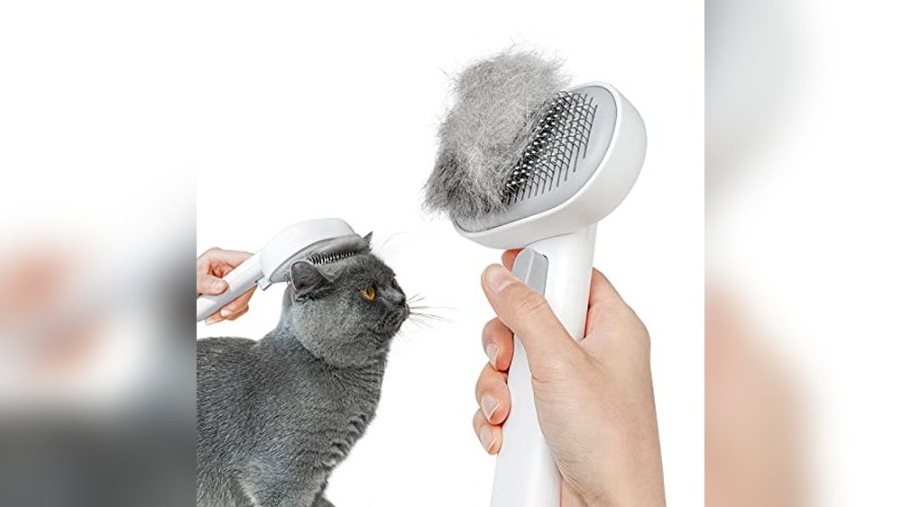 Best Cat Brush for Persian Cats