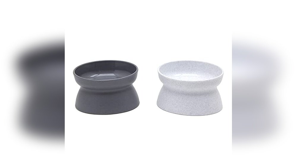 Best Cat Food Bowl for Wet Food