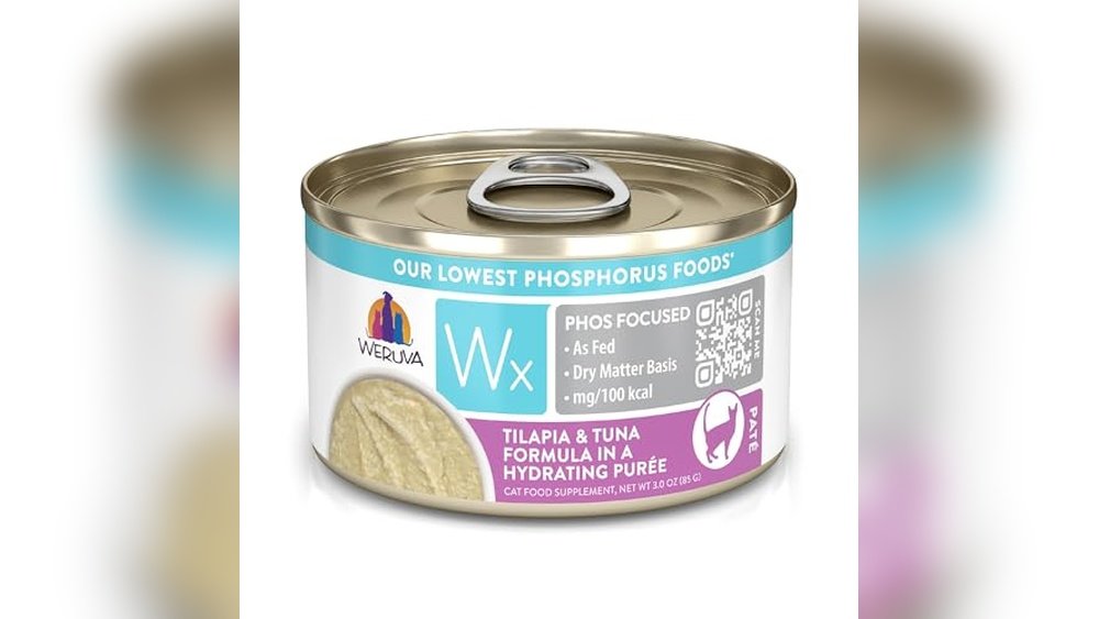 Best Cat Food for Autoimmune Disease