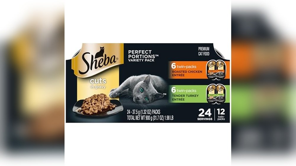 Best Cat Food for Cats With No Teeth