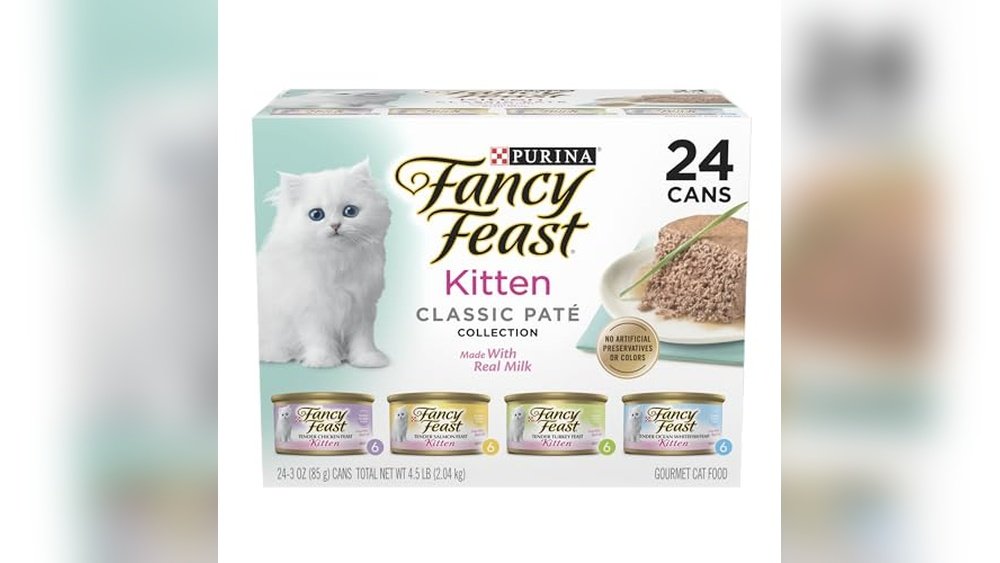 Best Cat Food for Gassy Kitten