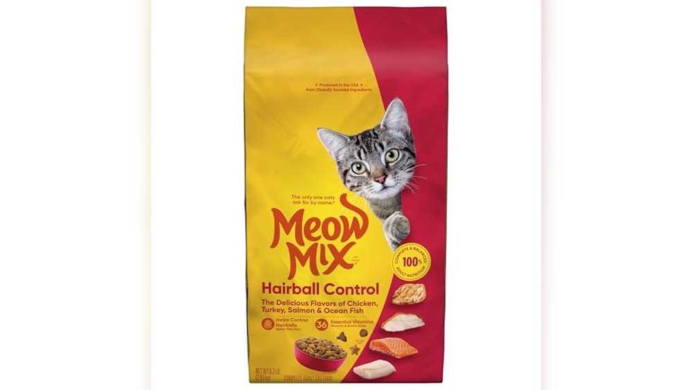 Best Cat Food for Hairball Control