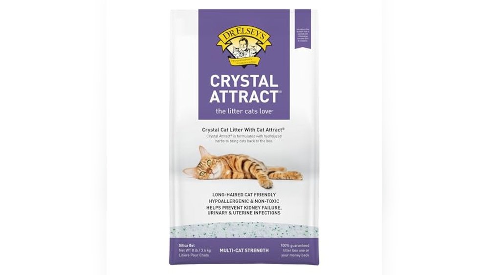 Best Cat Litter for Long Hair Cats