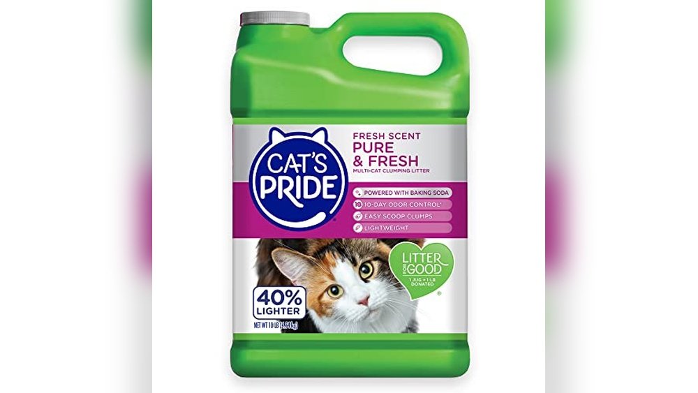 Best Cat Litter for Oil Spill