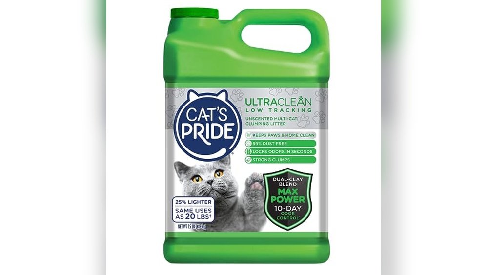 Best Cat Litter for Snow Traction