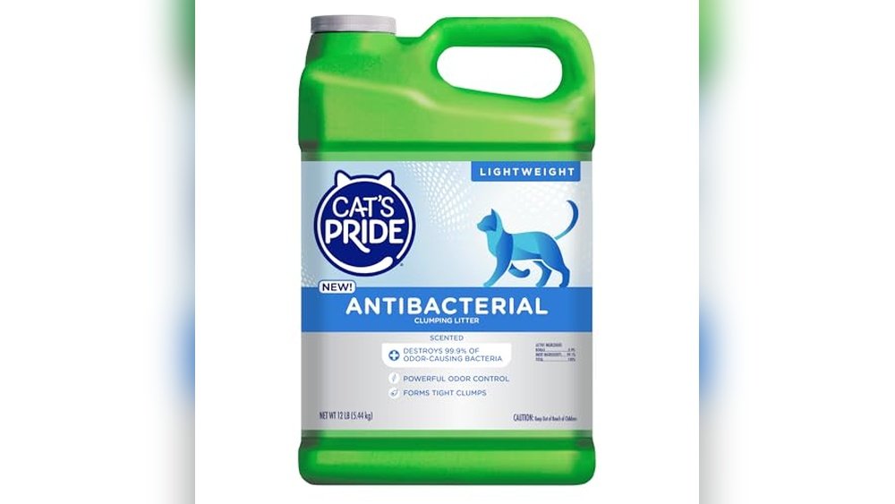 Best Cat Litter for Snow