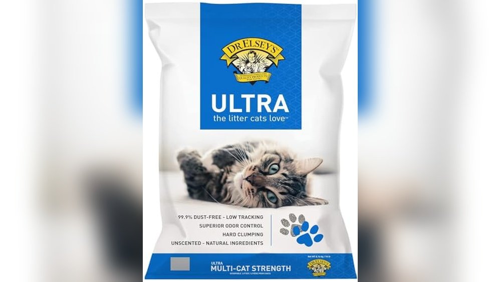 Best Cat Litter for Sphynx Cats