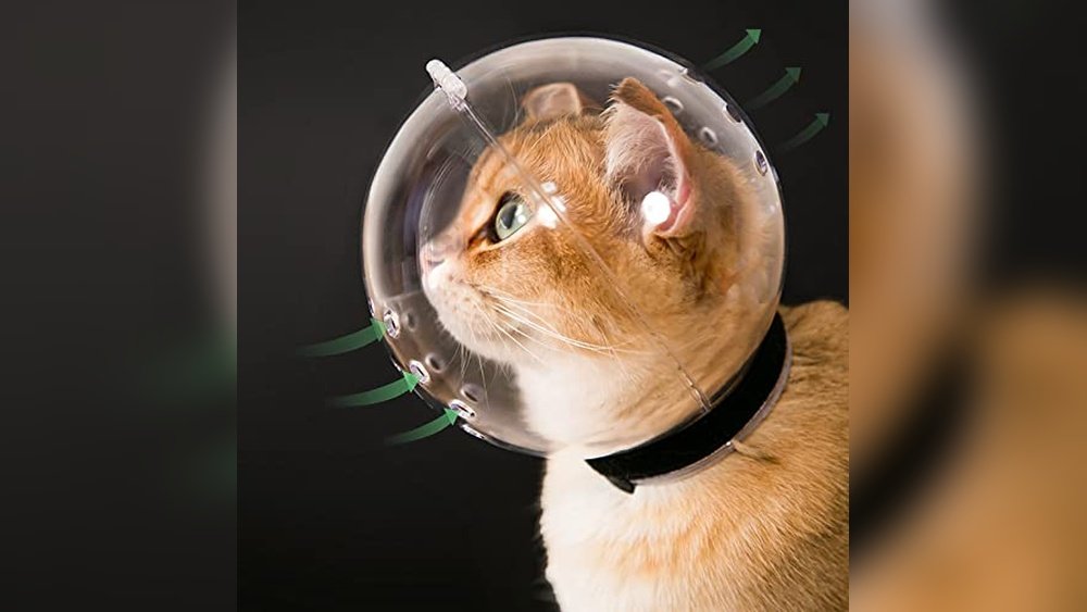 Best Cat Muzzle for Biting