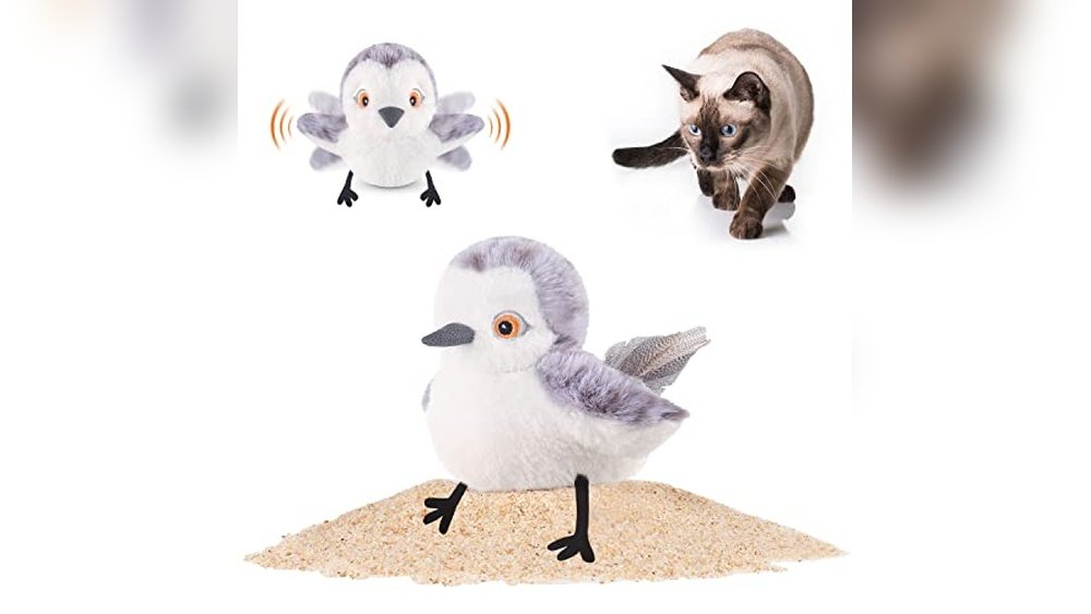 Best Cat Toys for Hunters