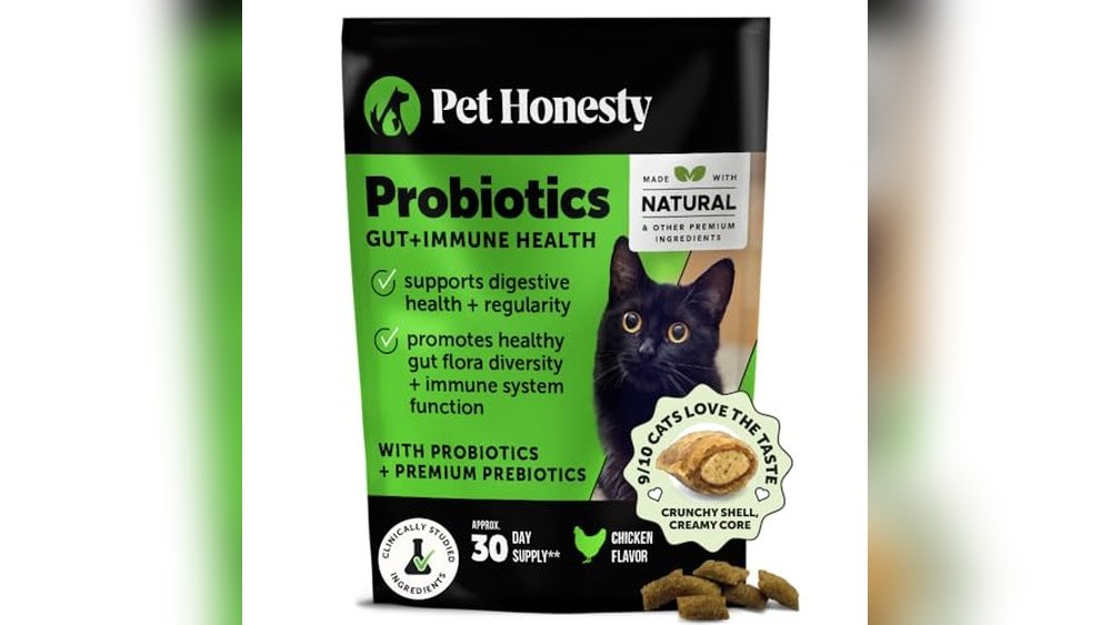 Best Cat Treats for Sensitive Stomach