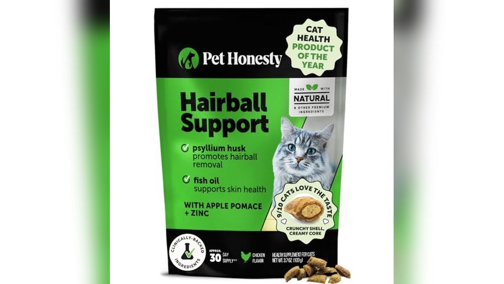 Best Cat Treats for Sensitive Stomachs